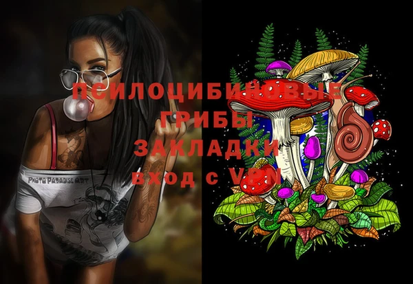 Альфа ПВП Алзамай