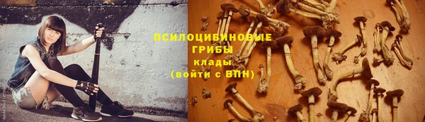 трава Алексин