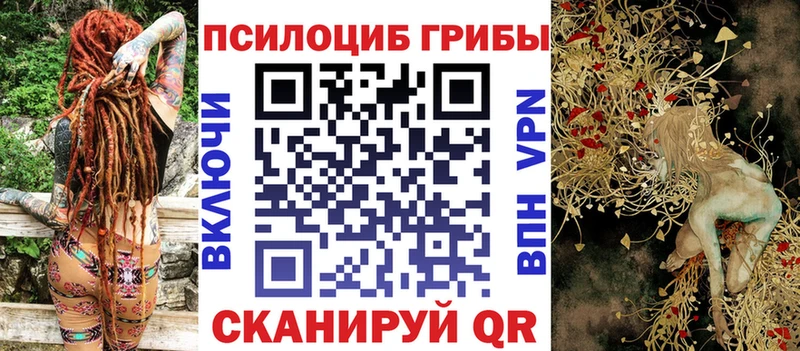 Псилоцибиновые грибы Magic Shrooms  Цивильск 